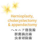 Hernioplasty,  cholecystectomy  & appendectomy ヘルニア修復術 胆嚢摘出術 虫垂切除術