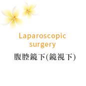 Laparoscopic surgery 腹腔鏡下(鏡視下)